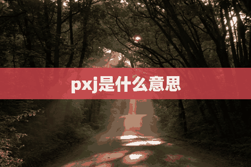 pxj是什么意思(pxj是啥意思)